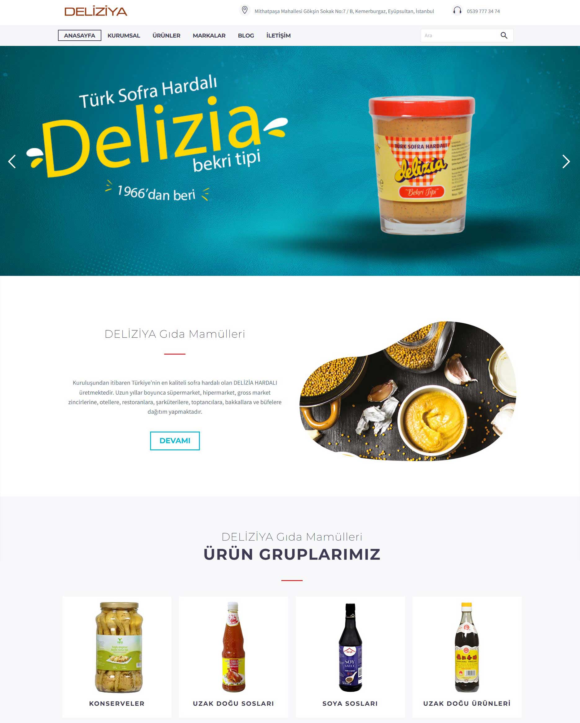 Deliziya Gıda Homepage