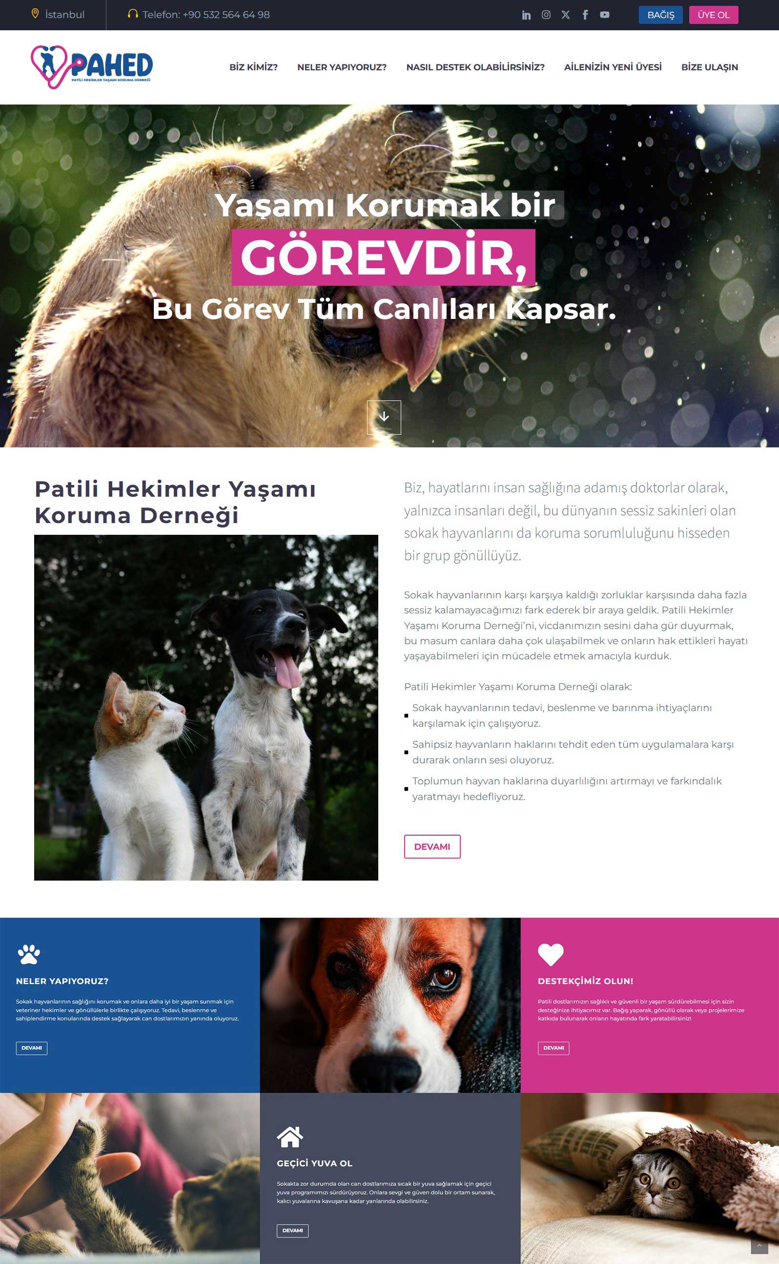 Pahed Homepage